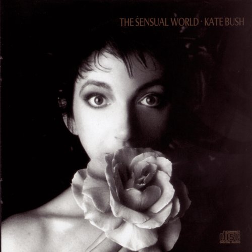 Kate Bush This Woman's Work (from She's Having profile image