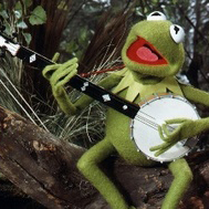 Kermit The Frog picture from I Believe released 12/04/2009