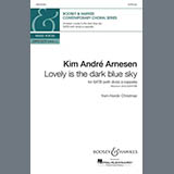 Kim André Arnesen picture from Lovely Is The Dark Blue Sky (from Nordic Christmas) released 03/18/2025