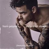 Liam Payne picture from Strip That Down (feat. Quavo) released 06/13/2017