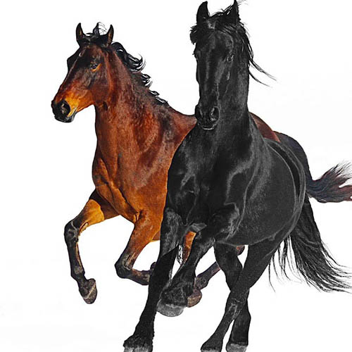 Lil Nas X feat. Billy Ray Cyrus Old Town Road (Remix) profile image