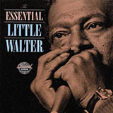 Little Walter picture from Boom Boom (Out Go The Lights) released 03/11/2009