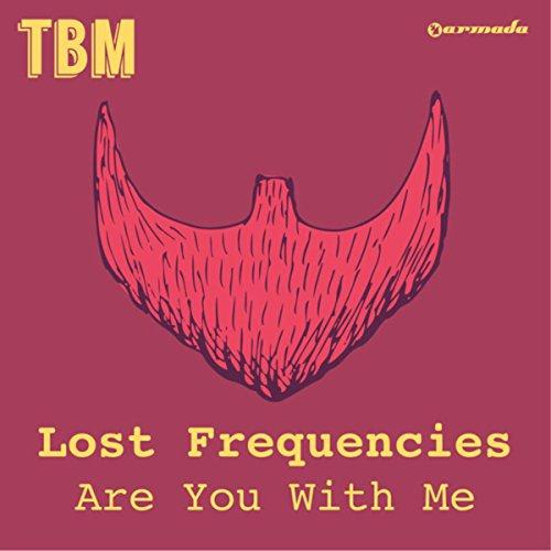 Lost Frequencies Are You With Me profile image