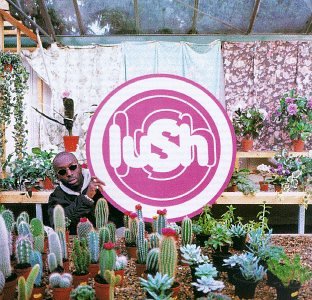 Lush profile Lush Last Night profile image