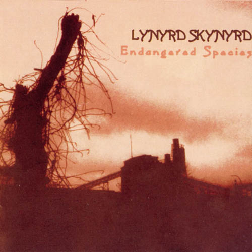 Lynyrd Skynyrd Down South Jukin' profile image