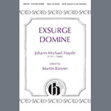 Martin Banner picture from Exsurge Domine released 02/27/2025