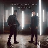 Martin Garrix picture from Ocean (featuring Khalid) released 06/26/2018