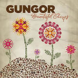 Michael Gungor picture from Beautiful Things released 05/16/2012