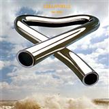 Mike Oldfield picture from Tubular Bells released 07/10/2007