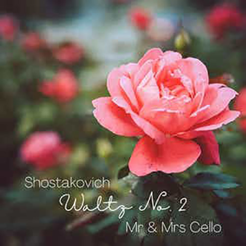 Mr & Mrs Cello Waltz No. 2 profile image