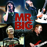 Mr. Big picture from Stay Together released 11/03/2016