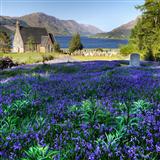 Traditional picture from The Bluebells Of Scotland released 03/24/2009