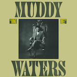 Muddy Waters picture from Clouds In My Heart released 07/10/2025