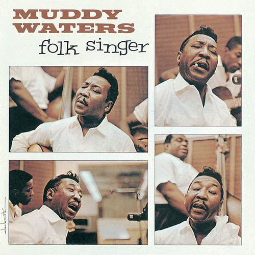 Muddy Waters The Same Thing profile image