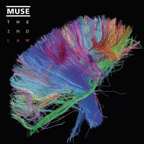 Muse Panic Station profile image