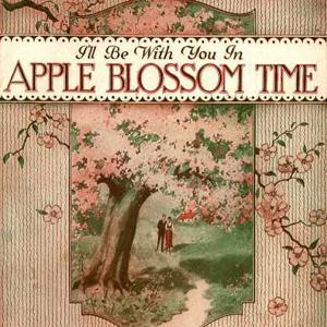 Albert Von Tilzer I'll Be With You In Apple Blossom Ti profile image