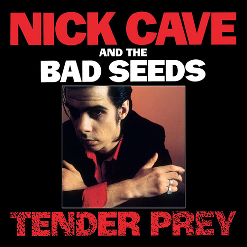 Nick Cave The Mercy Seat profile image