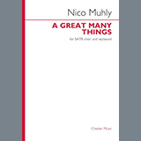 Nico Muhly picture from A Great Many Things released 03/19/2021