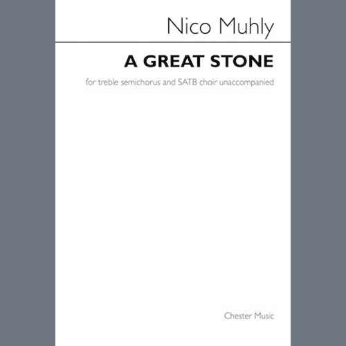 Nico Muhly A Great Stone profile image