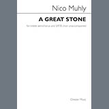 Nico Muhly picture from A Great Stone released 09/24/2021