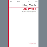 Nico Muhly picture from Abidynge released 02/16/2022
