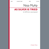 Nico Muhly picture from As Silver Is Tried released 02/16/2022