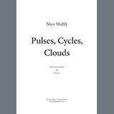 Nico Muhly picture from Pulses, Cycles, Clouds released 09/27/2021