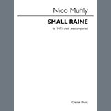 Nico Muhly picture from Small Raine released 09/24/2021