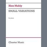 Nico Muhly picture from Small Variations released 02/06/2025