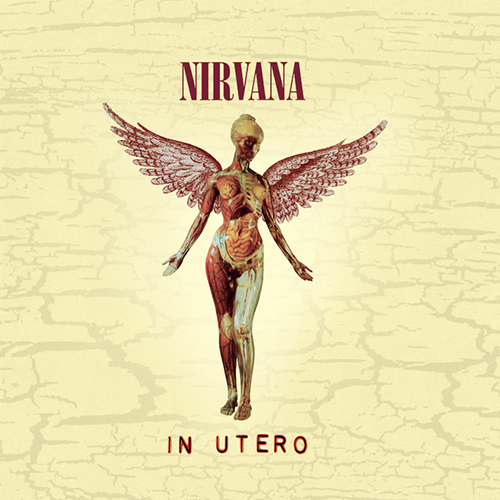 Nirvana profile Nirvana Tourette's profile image