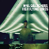 Noel Gallagher's High Flying Birds picture from (I Wanna Live In A Dream In My) Record Machine released 05/17/2013