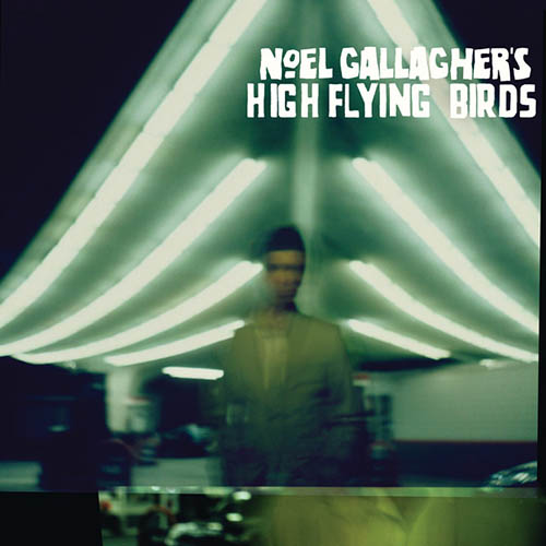 Noel Gallagher's High Flying Birds (Stranded On) The Wrong Beach profile image