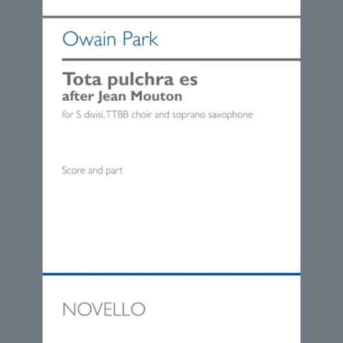 Owain Park Tota pulchra es (after Jean Mouton) profile image