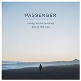Passenger & Birdy picture from Beautiful Birds released 10/27/2016