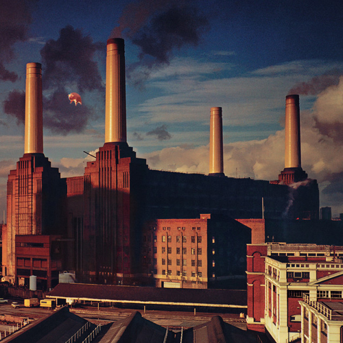 Pink Floyd Pigs (Three Different Ones) profile image