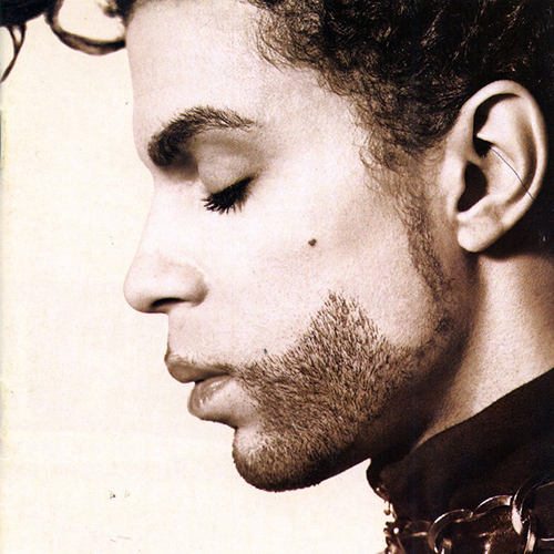 Prince She's Always In My Hair profile image