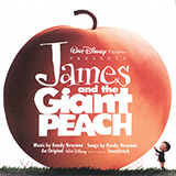 Randy Newman picture from My Name Is James (from James and the Giant Peach) released 04/18/2023