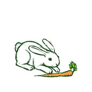 Traditional American Folksong Oh, John The Rabbit (arr. Robert I. profile image