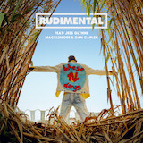 Rudimental picture from These Days (feat. Jess Glynne, Macklemore & Dan Caplen) released 04/24/2024