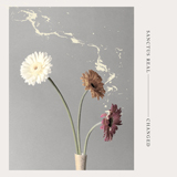 Sanctus Real picture from Confidence released 03/18/2019