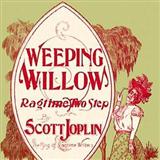 Scott Joplin picture from Weeping Willow Rag released 08/15/2008