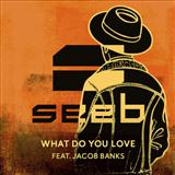 Seeb picture from What Do You Love (feat. Jacob Banks) released 03/29/2017