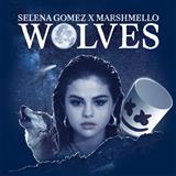 Selena Gomez & Marshmello picture from Wolves released 05/23/2018