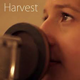 Shaina Taub Trio & Friends picture from Harvest released 09/18/2020
