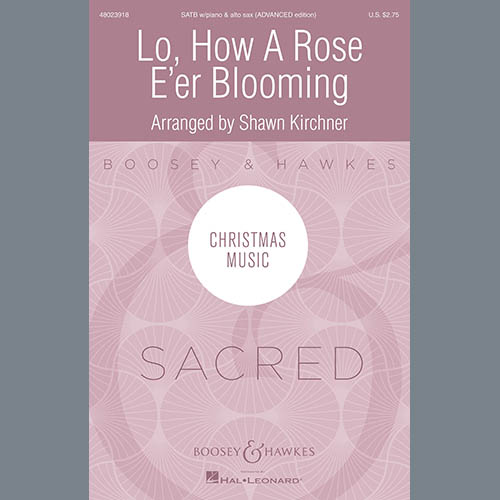 Shawn Kirchner Lo, How A Rose E'er Blooming profile image