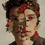 Shawn Mendes picture from In My Blood released 09/27/2018