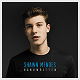 Shawn Mendes picture from Something Big released 08/04/2015