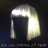 Sia picture from Big Girls Cry released 01/18/2016