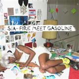 Sia picture from Fire Meet Gasoline released 08/17/2015