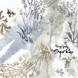 Sigur Ros picture from Hoppipolla released 08/14/2007